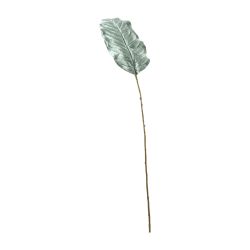 Bouquet de 6 feuilles de dieffenbachia 86cm