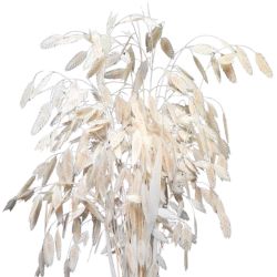 Botte de casmanthium 40gr 2 couleurs