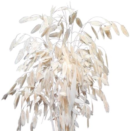 Botte de casmanthium 40gr 2 couleurs