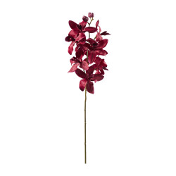 Orchidee cymbidium 68cm - Grossiste déco de Noël