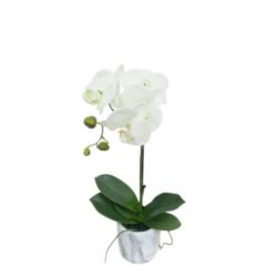 Orchidee avec pot ceramique 44cm