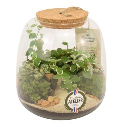 Terrarium - Emys