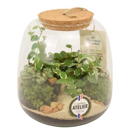 Terrarium - Emys
