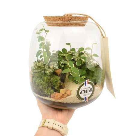 Terrarium - Emys