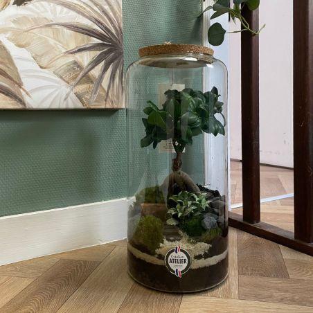 Terrarium - Zoya