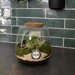 Terrarium - Emys