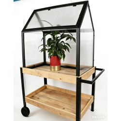 Serre sur meuble en bois à roulette - Greenhouse