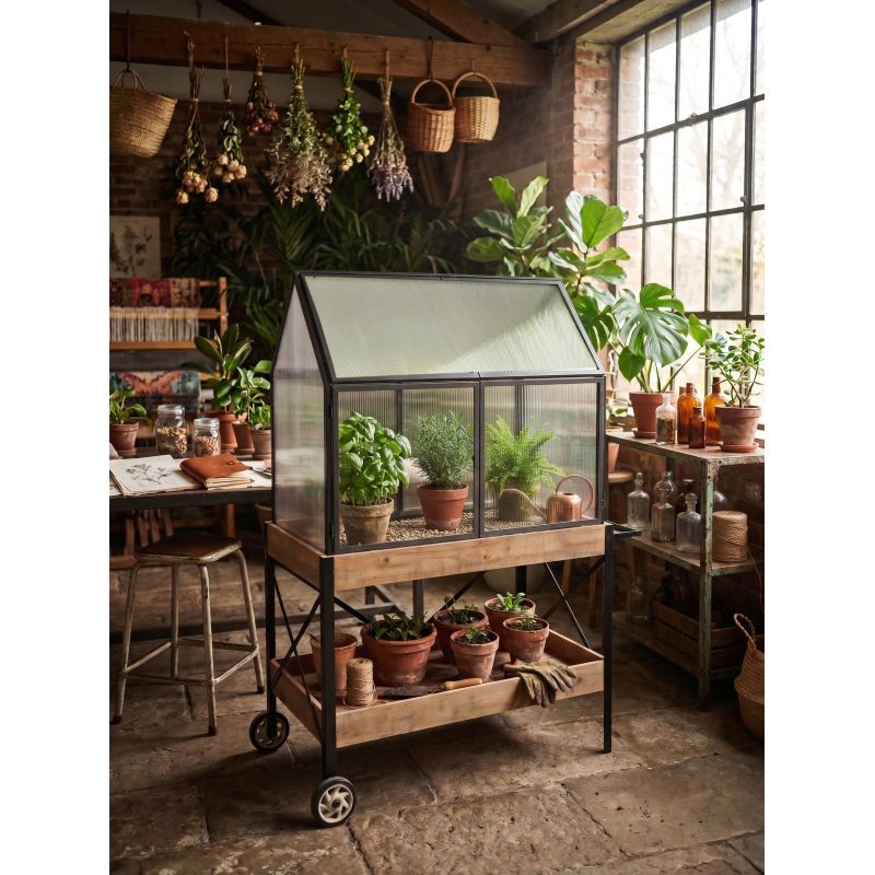 Serre sur meuble en bois à roulette - Greenhouse