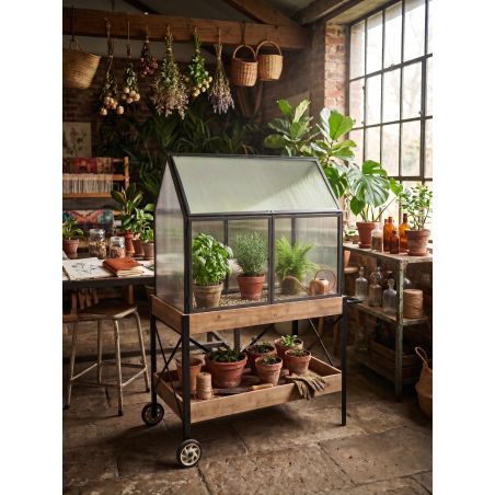 Serre sur meuble en bois à roulette - Greenhouse