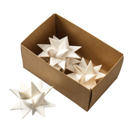 Boite de 4 étoiles en papier 10cm blanc - Spruce - Grossiste en décoration de noel pour professionnels