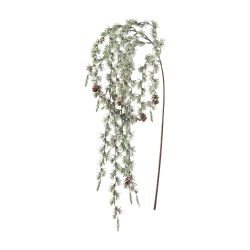 Branche de sapin givré - Blizzard