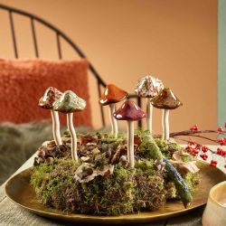 Paquet de 6 champignons plats en céramique
