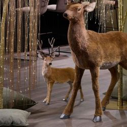 Cerf debout - Amber