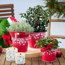 Ensemble de 3 cache-pot en métal - Snowdrop