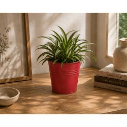 Cache-pot en zinc rose plusieurs tailles - Automnale