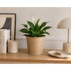 Cache-pot en zinc beige plusieurs tailles - Automnale