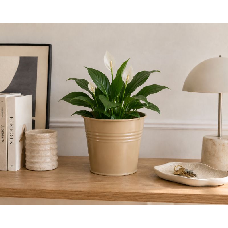 Cache-pot en zinc beige plusieurs tailles - Automnale