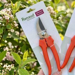 Sécateur 19cm - Sélection fleuriste