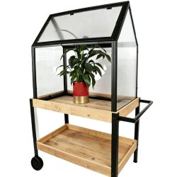 Serre sur meuble en bois à roulette - Greenhouse