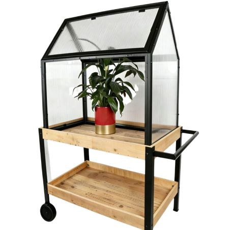 Serre sur meuble en bois à roulette - Greenhouse
