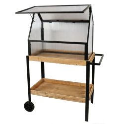 Serre sur meuble en bois à roulette - Kas