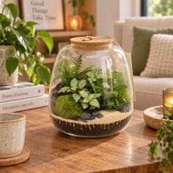 Terrarium - Othello