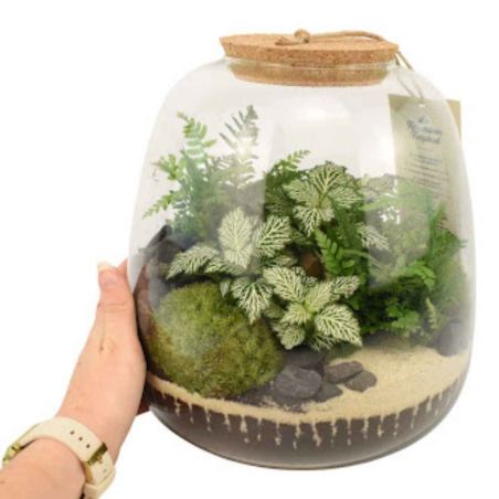 Terrarium - Othello