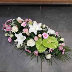 Paquet de 6 raquettes hydro 1M - Sélection fleuriste