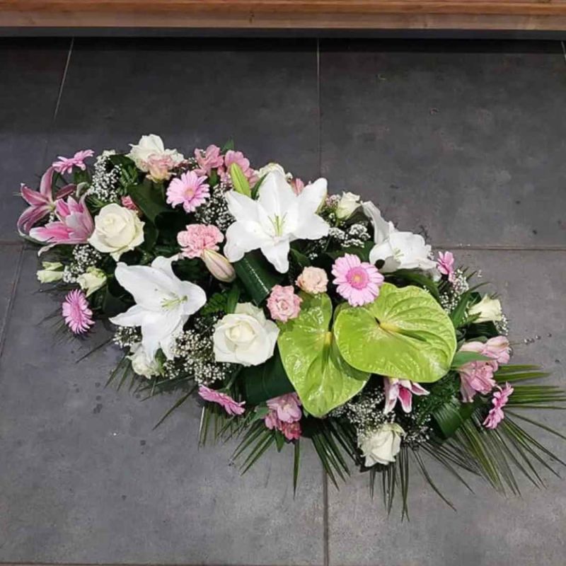 Paquet de 6 raquettes hydro 1M - Sélection fleuriste
