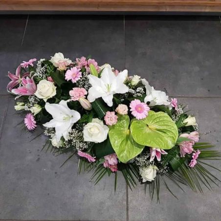 Paquet de 6 raquettes hydro 1M - Sélection fleuriste