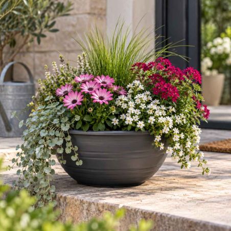 Coupe anthracite plusieurs tailles - Stabiliss
