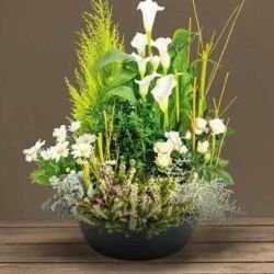 Coupe Horticole verte plusieurs tailles - Raiden