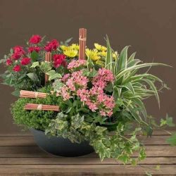 Coupe horticole gris plusieurs tailles - Raiden