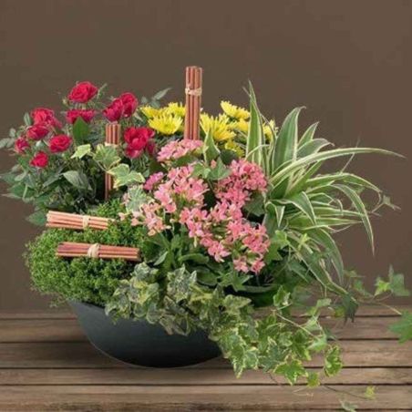 Coupe horticole gris plusieurs tailles - Raiden