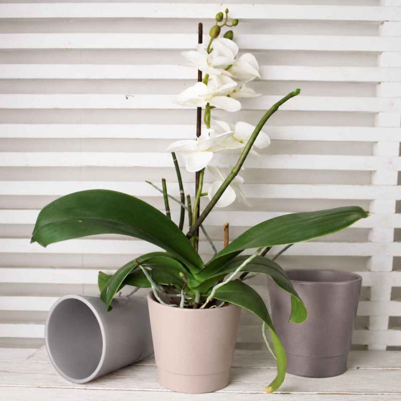 Cache-pot orchidée premium naturel
