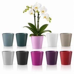 Cache-pot orchidée D.13 x H.13cm plusieurs couleurs - Dallas