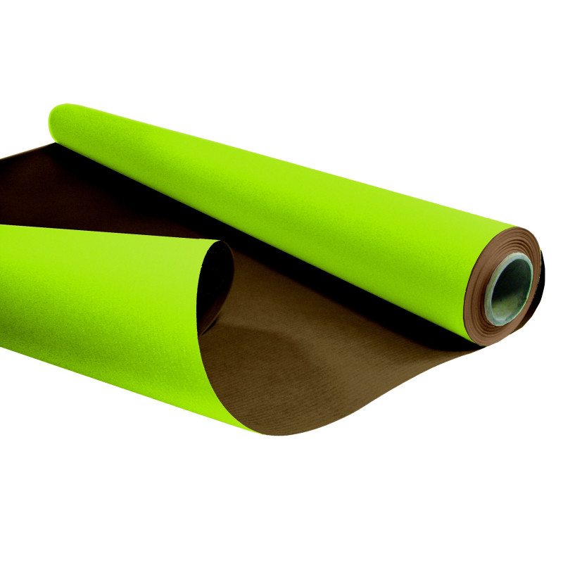 Papier Kraft blanchi  recto verso 