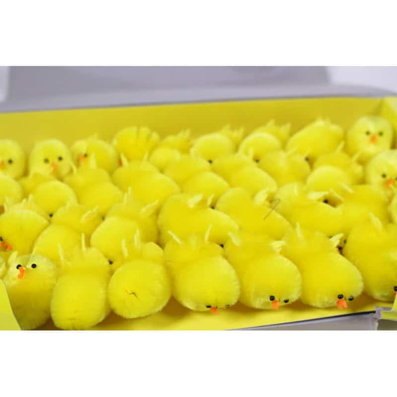 Boite de poussins jaunes H. 4 cm Boite de poussins jaunes H. 4 cm