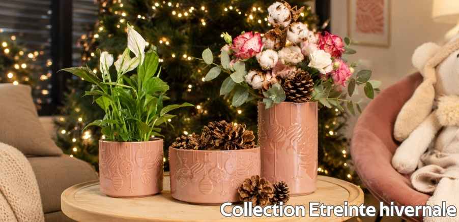 Collection Saint Valentin
