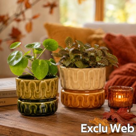 Exclusivité décorations commerces