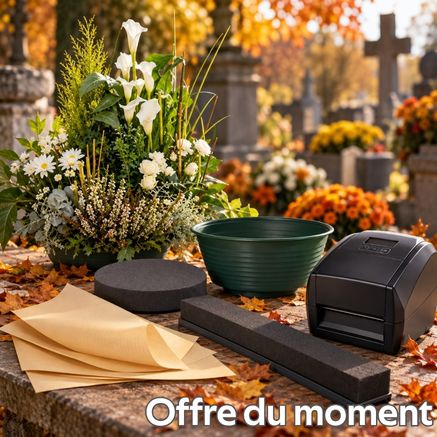 Nouvel arrivage janvier