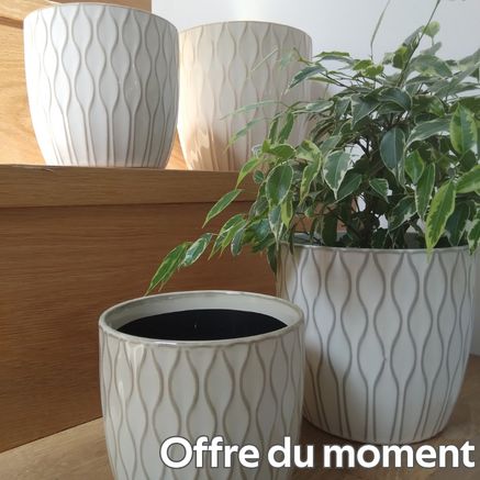 Nouvel arrivage janvier