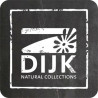 Dijk